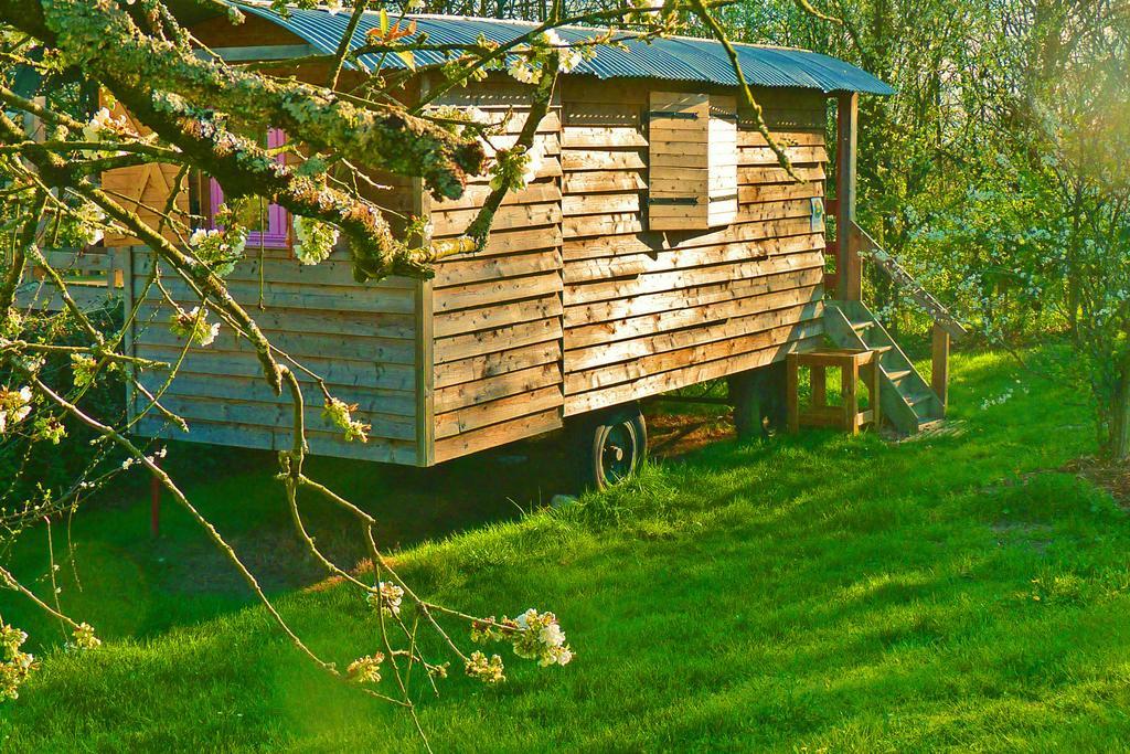 Bed and Breakfast La Schaafraniere Saint-Aubin-le-Cloud Exterior foto